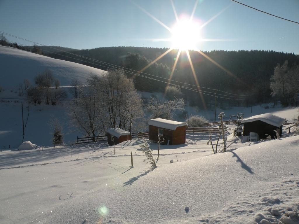 Landgasthof Nesselbach Nordenau Eksteriør bilde